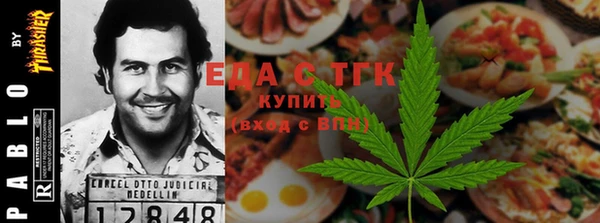 тгк Новодвинск