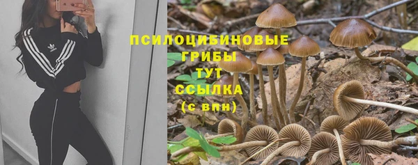 мефедрон мука Новозыбков